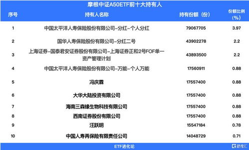 外资坚定入场 逆势布局下的资产配置新动向