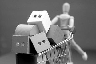 台风季投保指南 厘清风险，选对保险，避免理赔纠纷