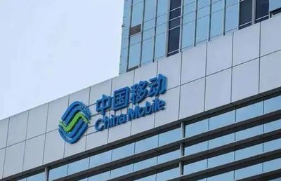 软件项目中标报价变更缘由分析