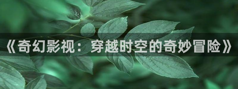 黑蚂蚁影业有限公司：《奇幻影视：穿越时空的奇妙冒险》