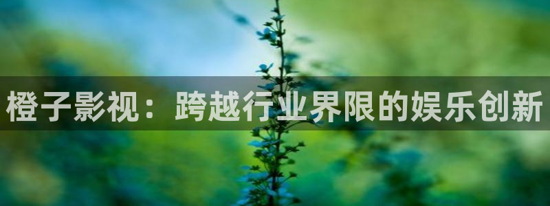 黑蚂蚁影院免费电视剧