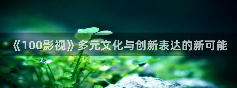 黑蚂蚁电影院：《100影视》多元文化与创新表达的新可能