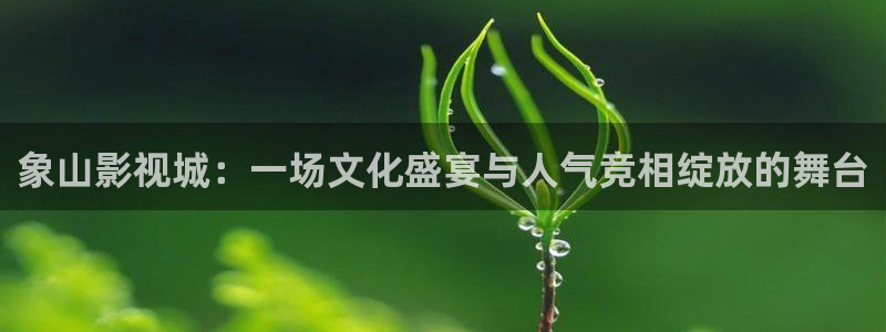 黑蚂蚁影院更新电视剧：象山影视城：一场文化盛宴与人气竞相绽放的舞台