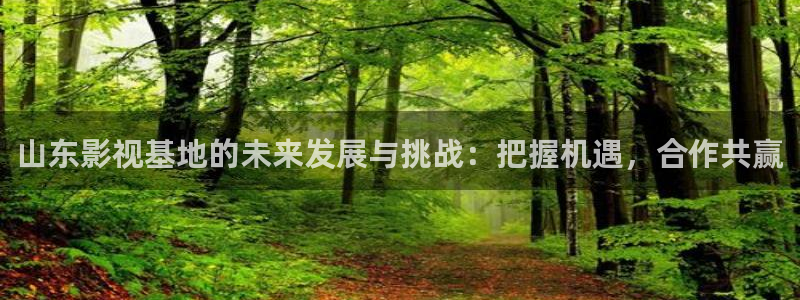 黑蚂蚁剧场免费流水迢迢电视剧全集