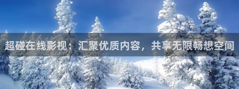 黑蚂蚁电影电视