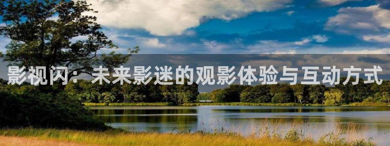 小黑蚂蚁