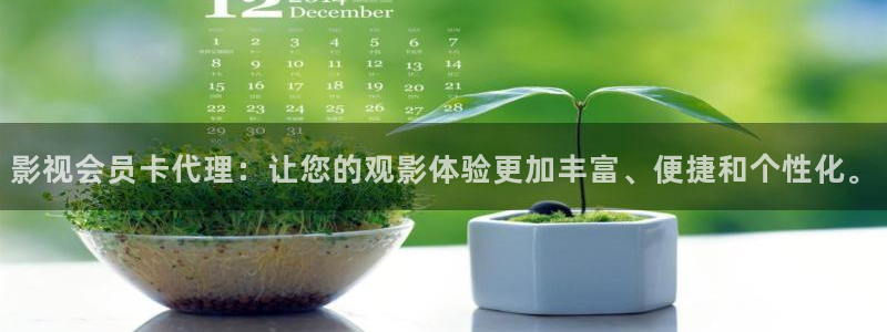 黑蚂蚁影视网站