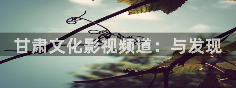 黑蚂蚁影视剧大全
