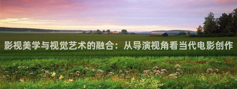 红蚂蚁跟黑蚂蚁的电影