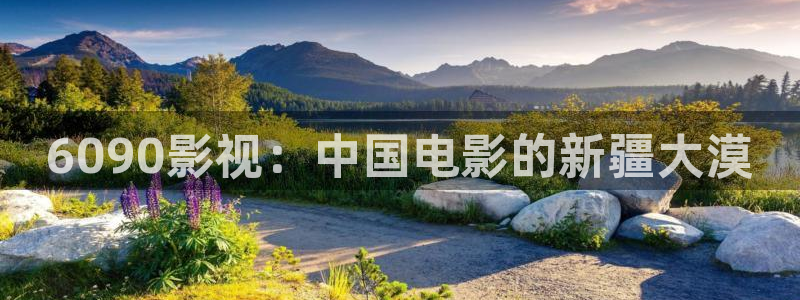 黑蚂蚁影视院